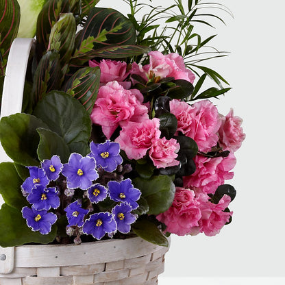 Peaceful Garden Planter –  Meta Flowers, Manassas VA