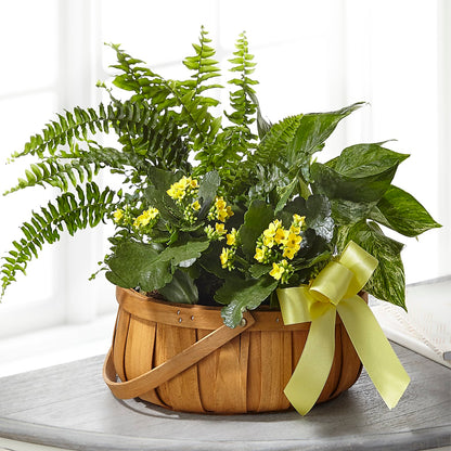 Always Dear Dishgarden –  Meta Flowers, Manassas VA