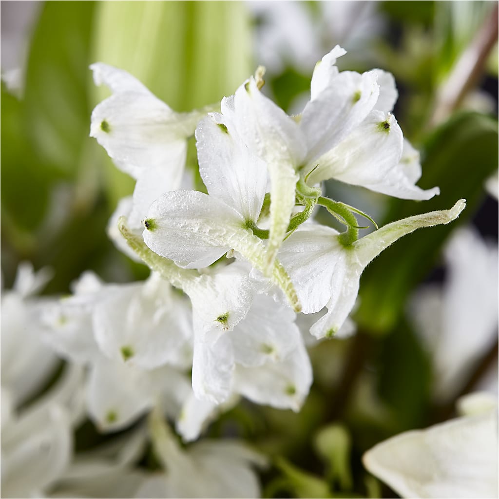 Classic Ivory – A Florist Original –  Meta Flowers, Manassas VA