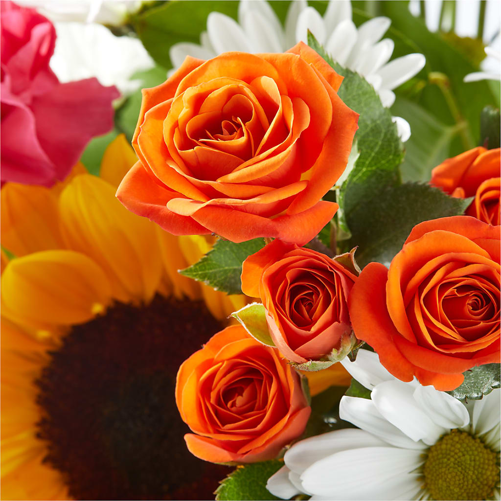 Sun-drenched Blooms Bouquet –  Meta Flowers, Manassas VA