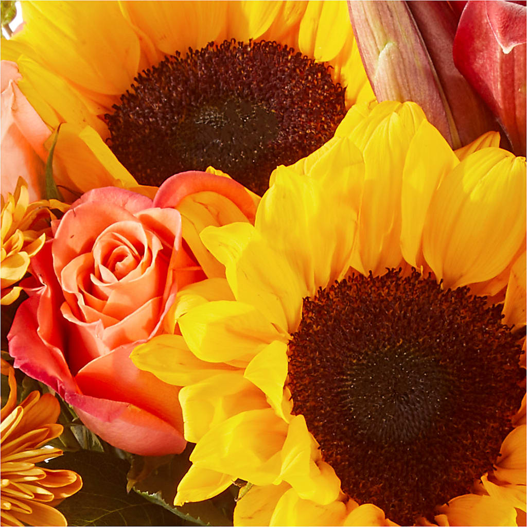 Acorn Lane Bouquet –  Meta Flowers, Manassas VA
