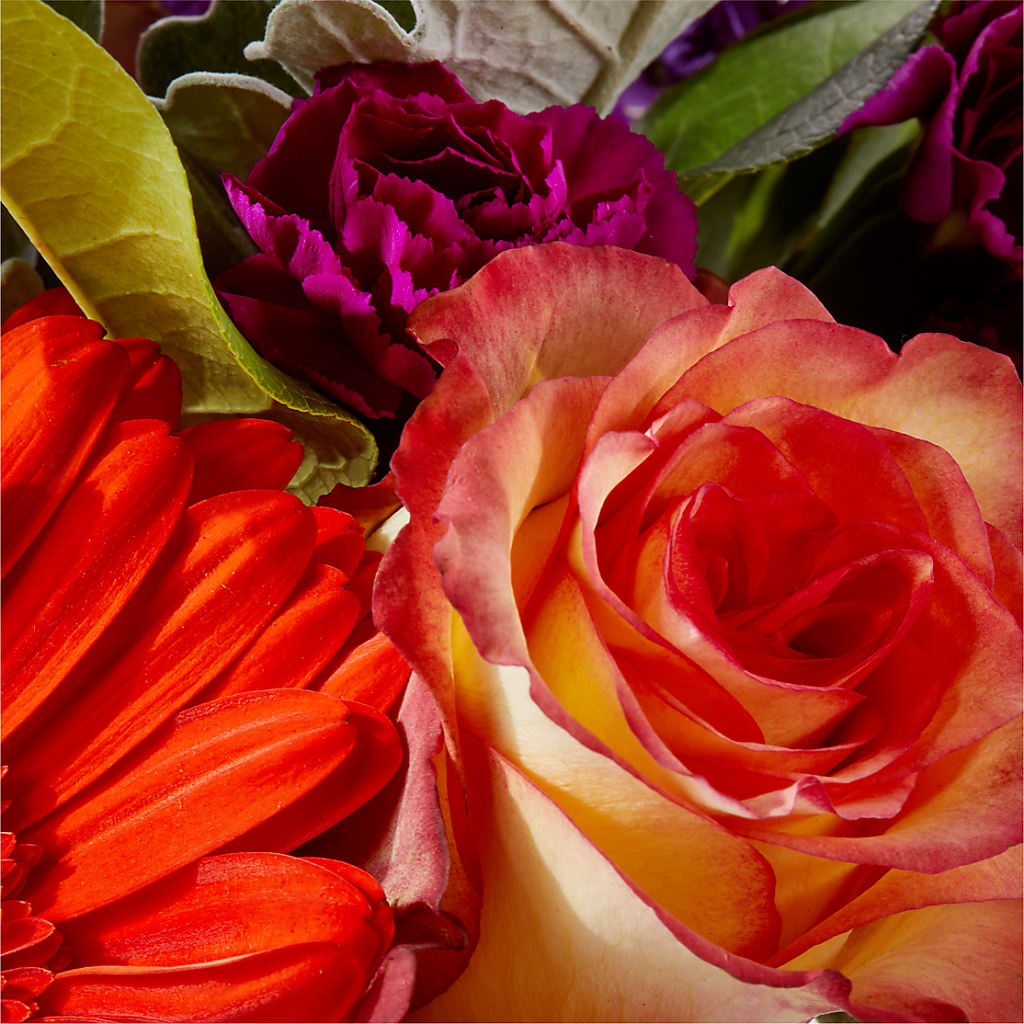 Sangria Bouquet –  Meta Flowers, Manassas VA