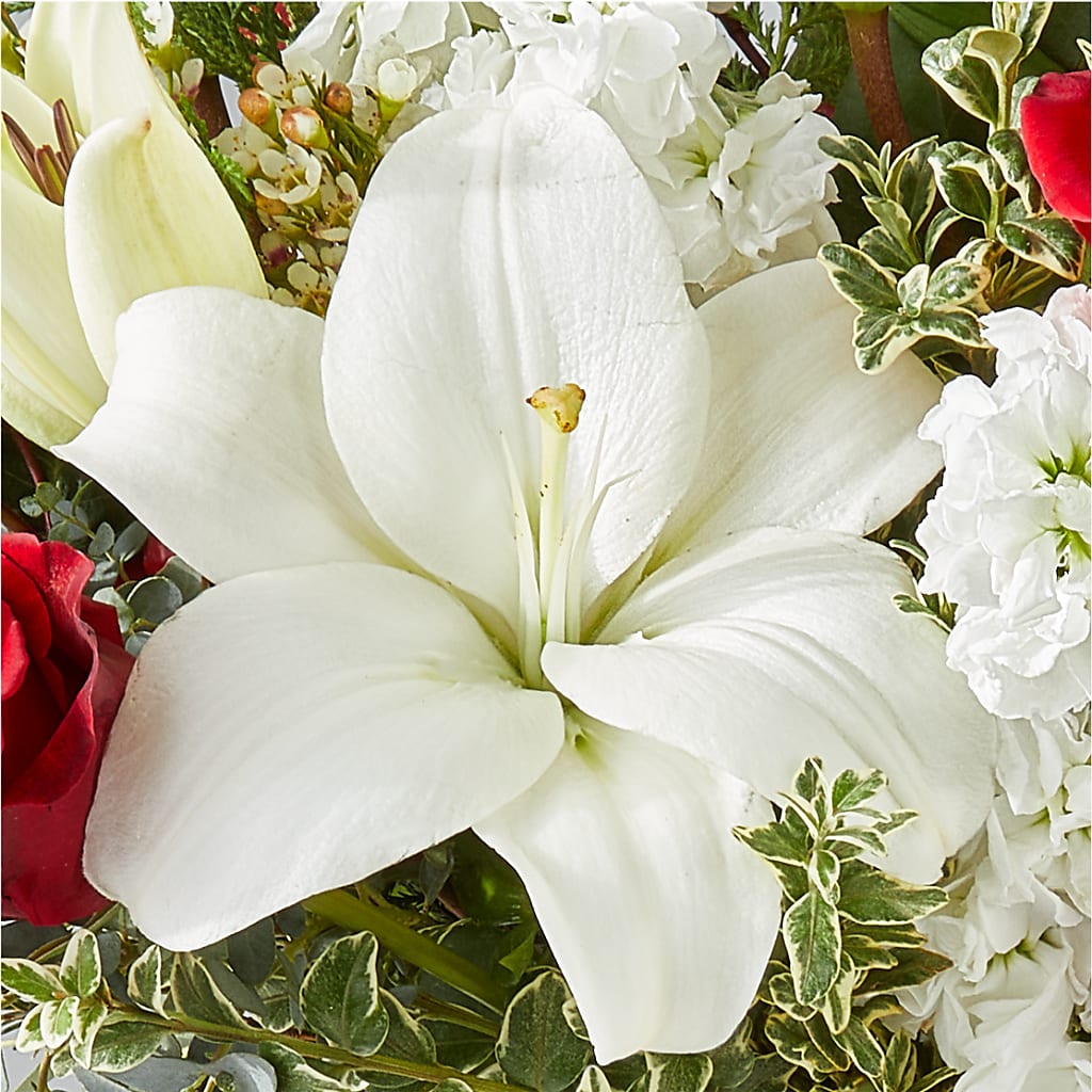 Twinkle Lights Bouquet –  Meta Flowers, Manassas VA