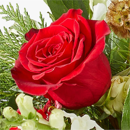 Deck the Halls Bouquet –  Meta Flowers, Manassas VA