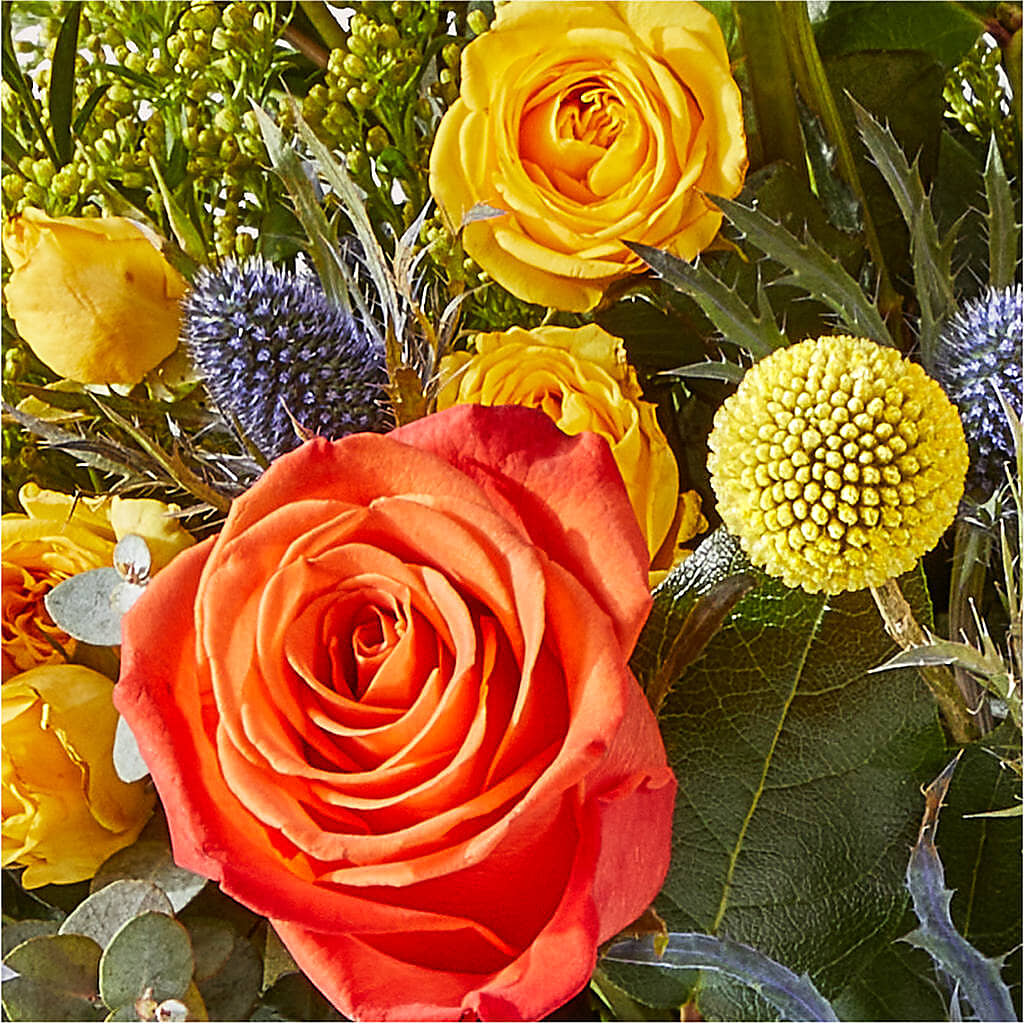 Disco Bouquet –  Meta Flowers, Manassas VA