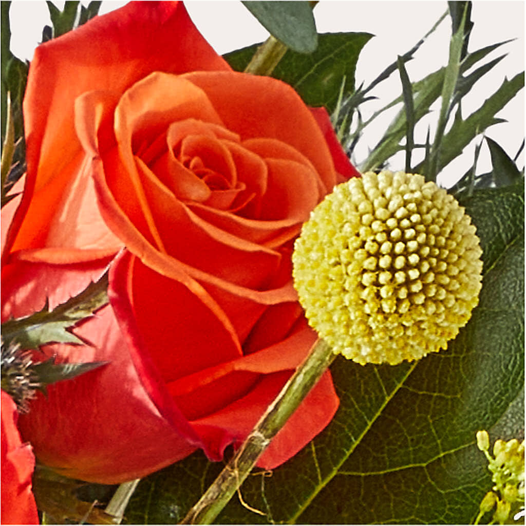 Disco Bouquet –  Meta Flowers, Manassas VA