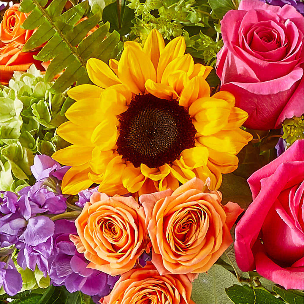 Vibrant Greetings Bouquet –  Meta Flowers, Manassas VA