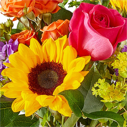 Vibrant Greetings Bouquet –  Meta Flowers, Manassas VA