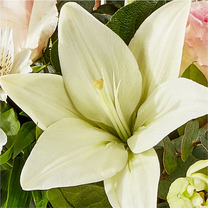 Ballet Slippers Bouquet –  Meta Flowers, Manassas VA