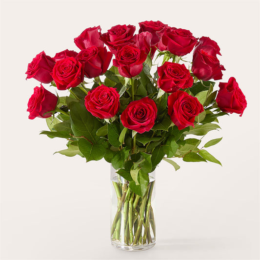 The One Red Rose Bouquet –  Meta Flowers, Manassas VA
