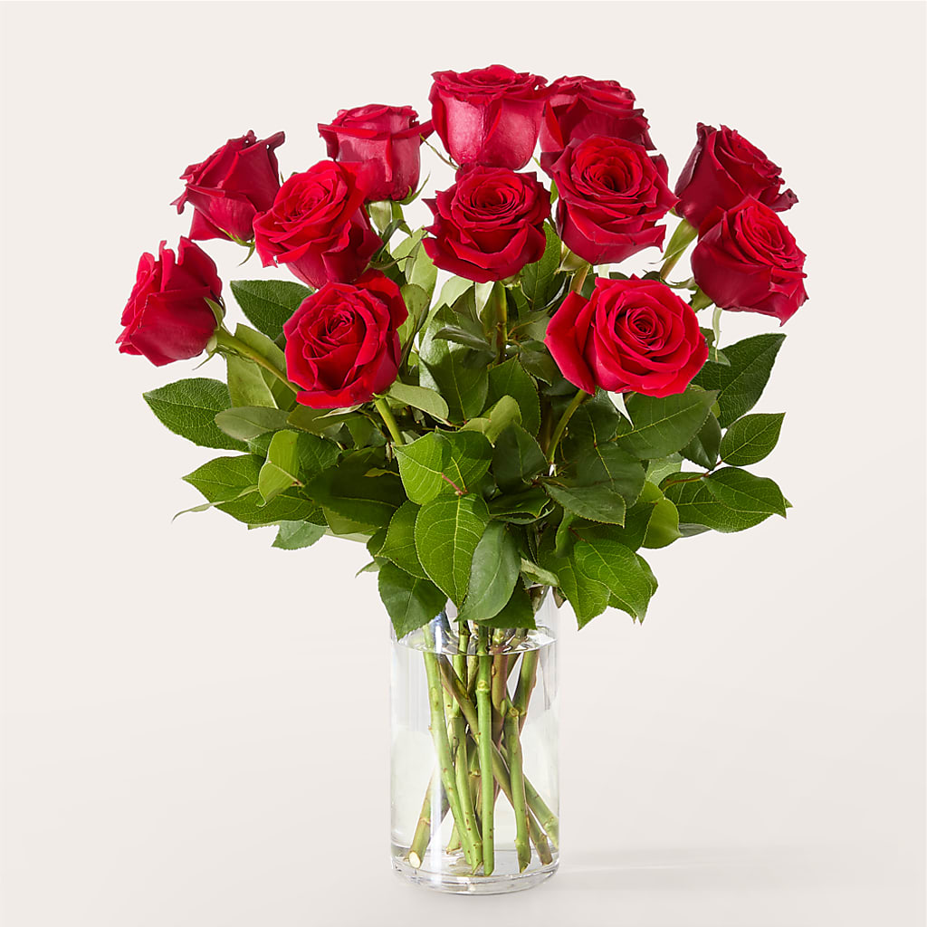 The One Red Rose Bouquet –  Meta Flowers, Manassas VA