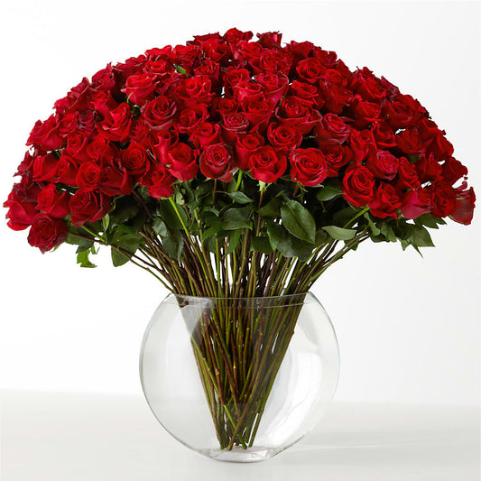The Idealist –  Meta Flowers, Manassas VA