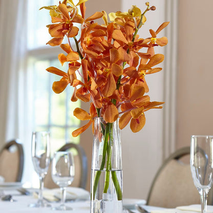 Orange Mokara Bud Vase –  Meta Flowers, Manassas VA