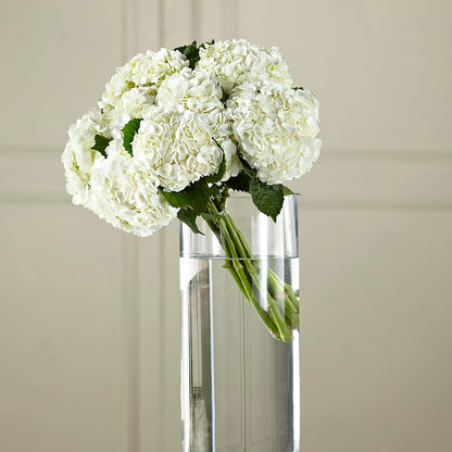 White Hydrangea Hand-Tied Bouquet –  Meta Flowers, Manassas VA