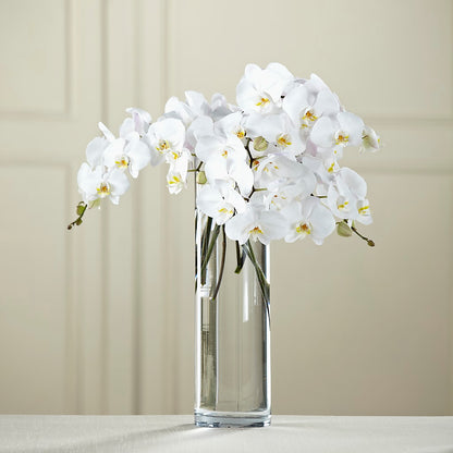 White Phalaenopsis Bouquet –  Meta Flowers, Manassas VA