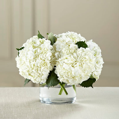 White Hydrangea Bouquet –  Meta Flowers, Manassas VA
